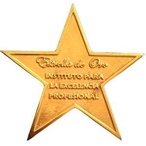 Estrella de Oro concedida a iMeelZ por el Instituto de Excelencia Profesional