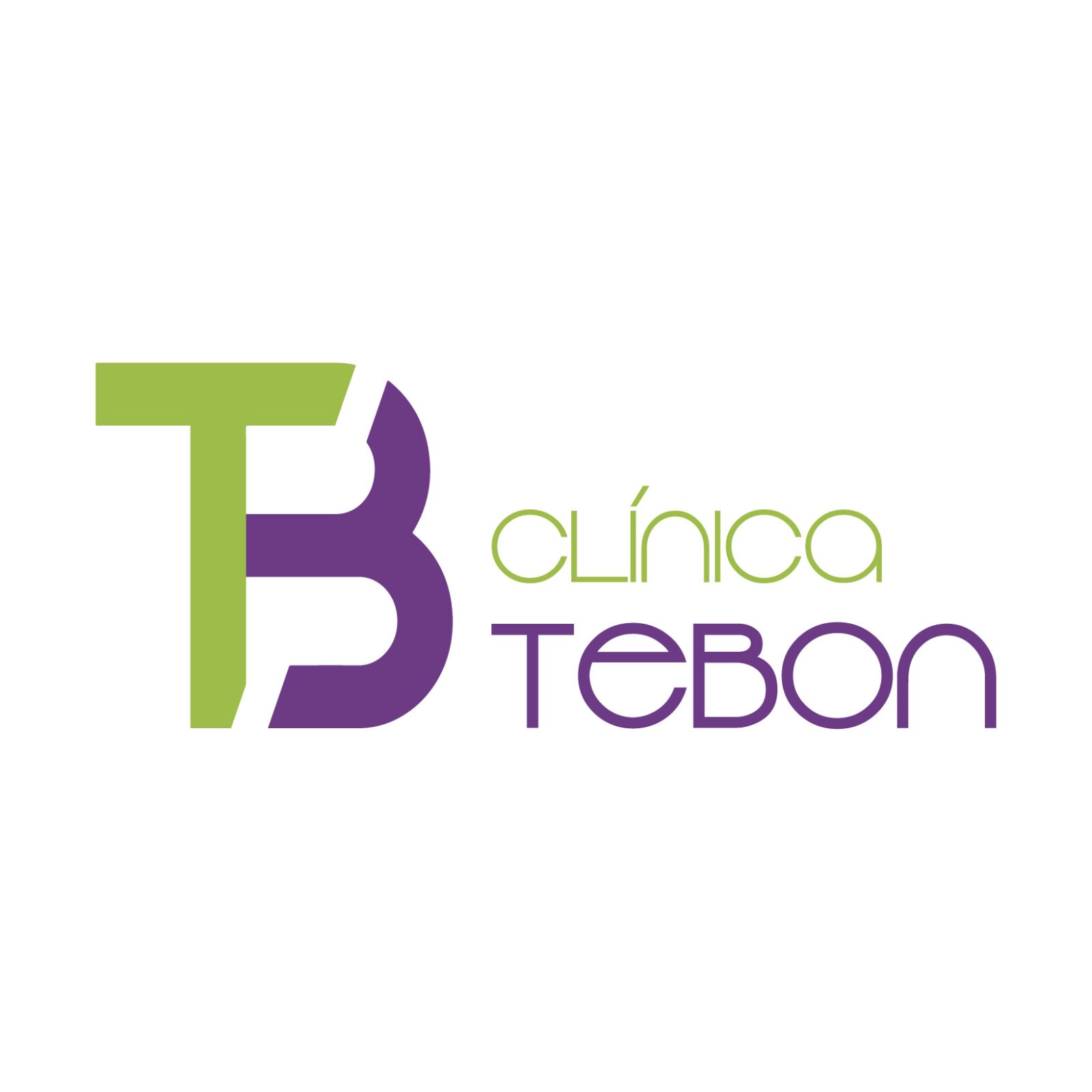 Logo Tebon blanco cuadrado