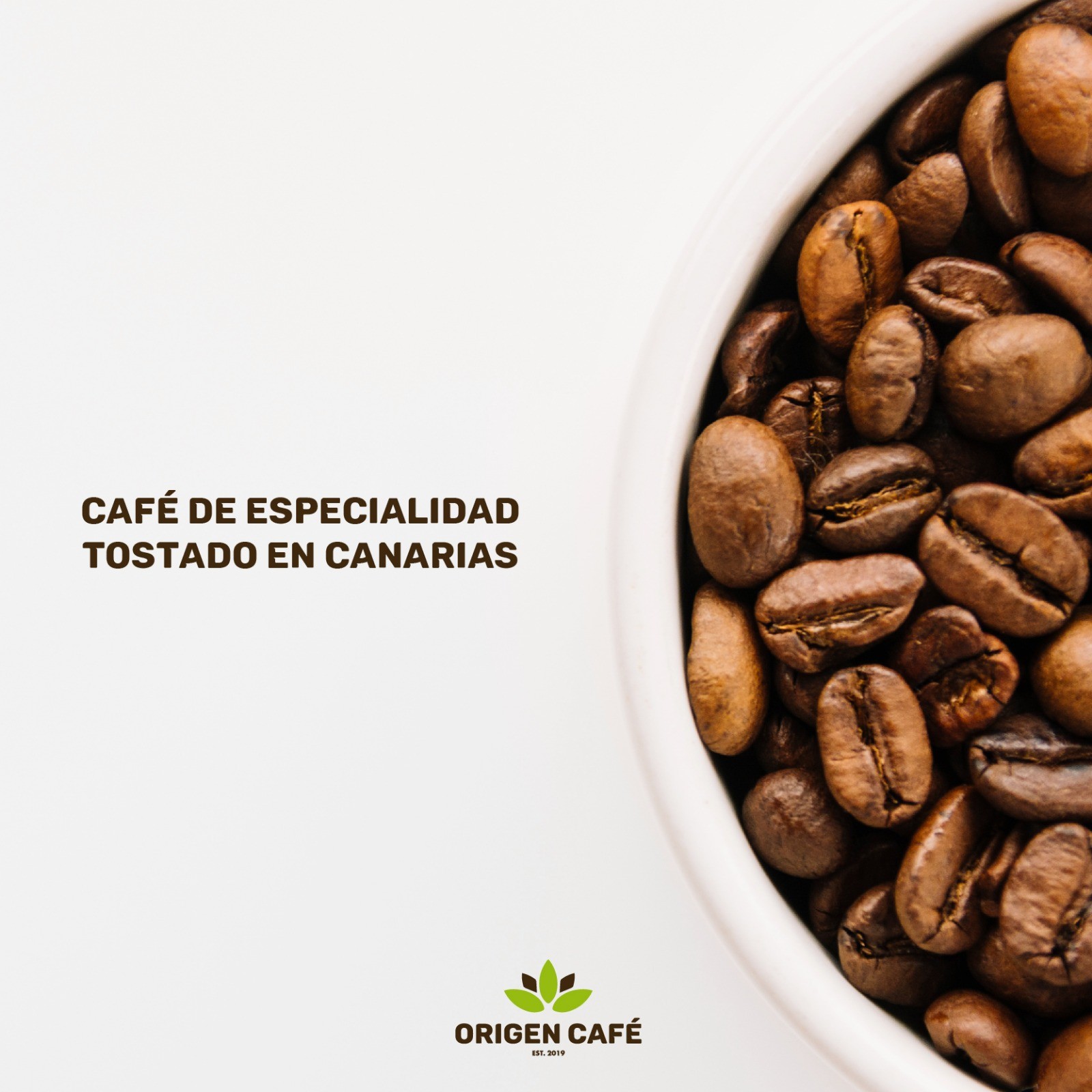 Origen Café Café De Especialidad